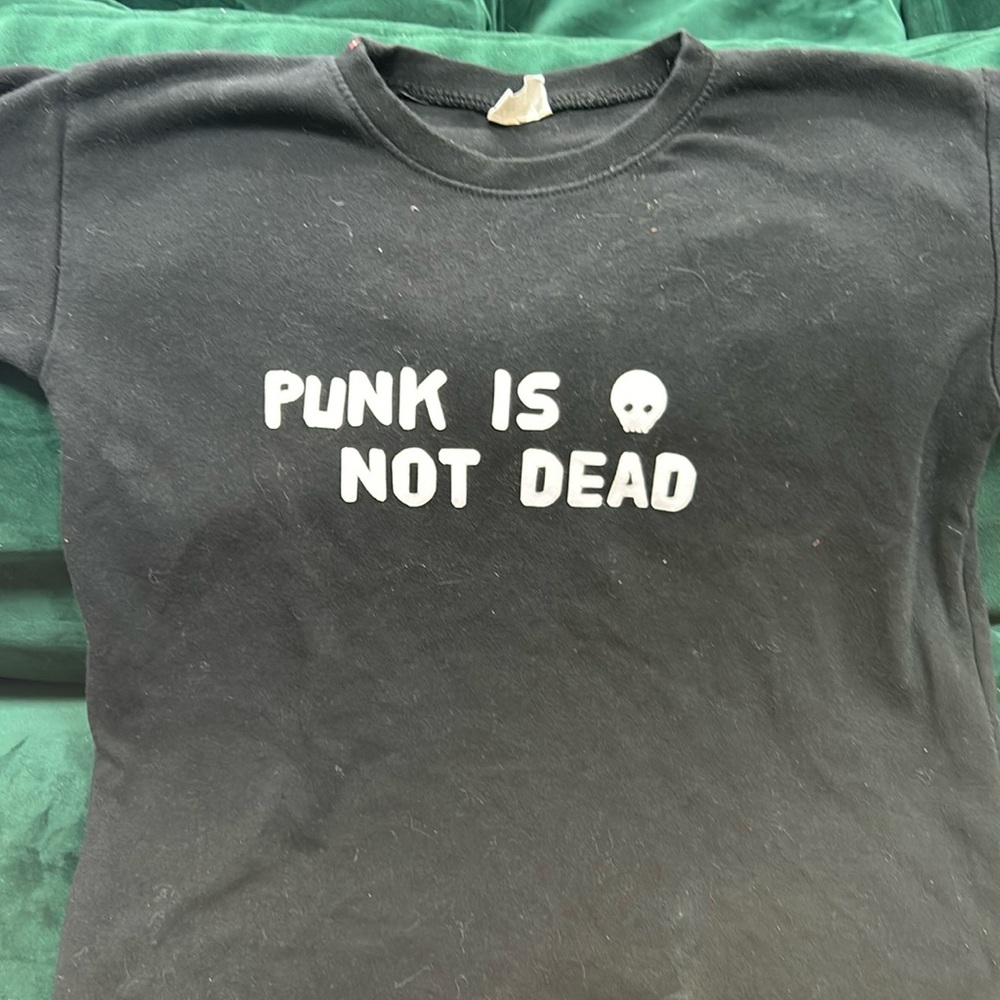 Punk is not Dead